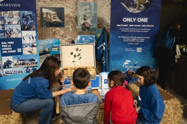 WhatsApp Image 2024 04 25 At 16.46.13 WhatsApp Image 2024 04 25 At 16.46.13