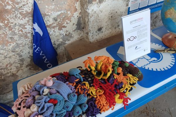 WhatsApp Image 2024 04 27 At 15.08.08 WhatsApp Image 2024 04 27 At 15.08.08