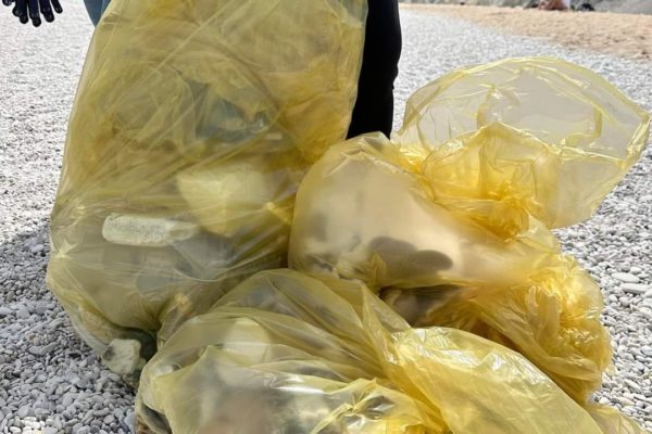 WhatsApp Image 2024 05 08 At 13.28.22 WhatsApp Image 2024 05 08 At 13.28.22