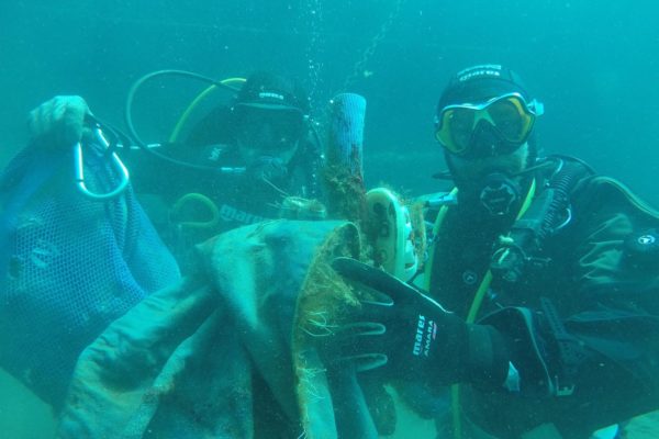 A62ed48e 98d6 4580 B37a Ec77c5edee02