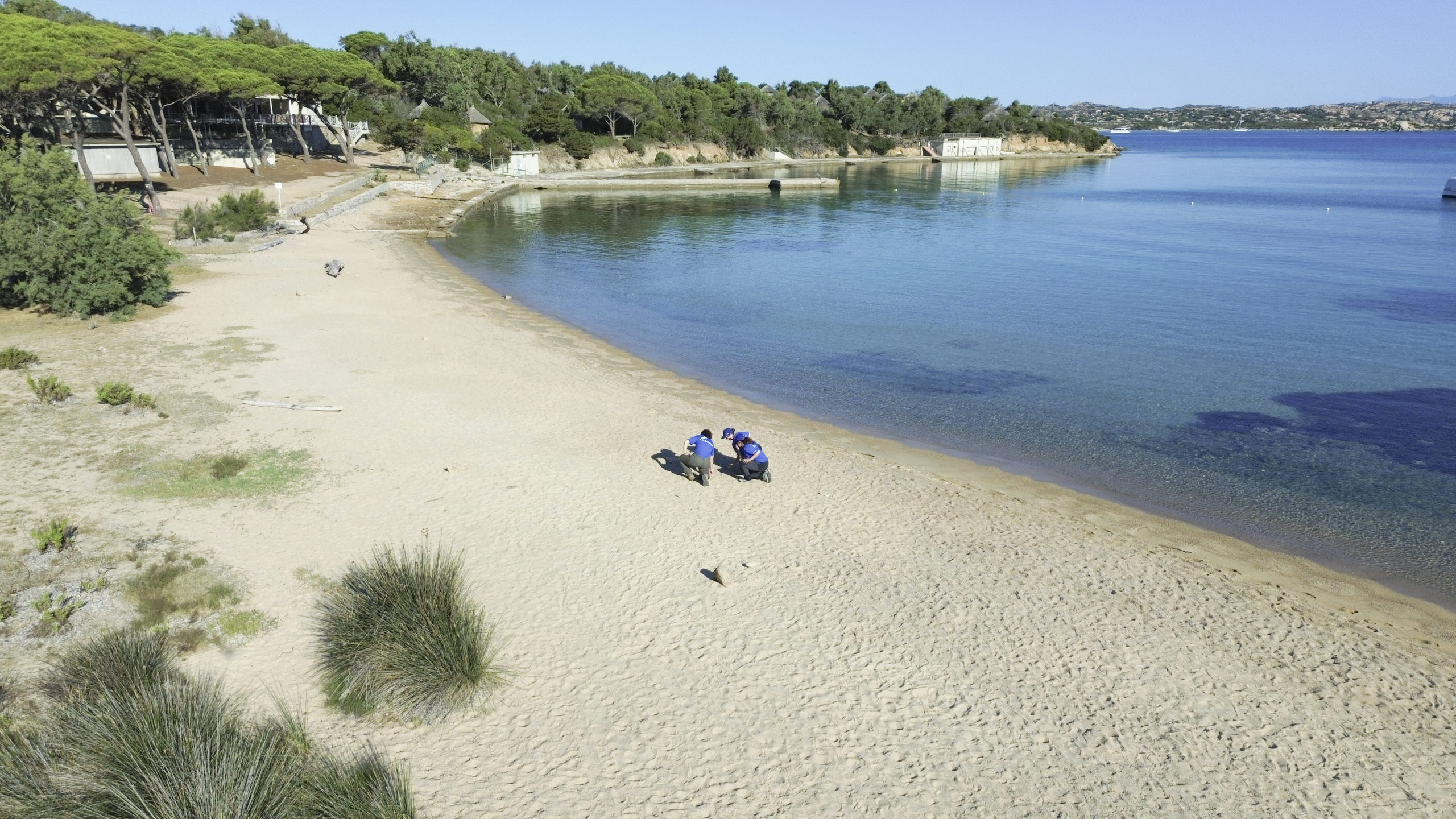 Al via nell’Arcipelago di La Maddalena “Tartablu”, il nuovo progetto di Marevivo