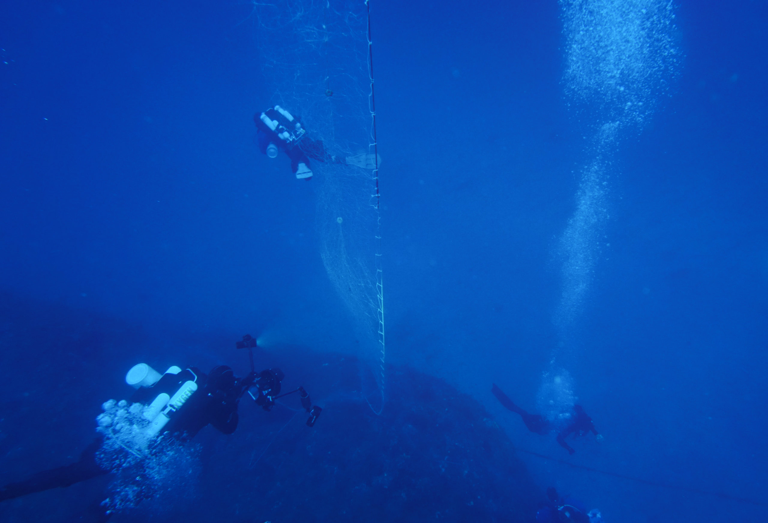 Marevivo, Intesa Sanpaolo e Cesvi: conclusi i Blue Days nati per educare al rispetto del mare