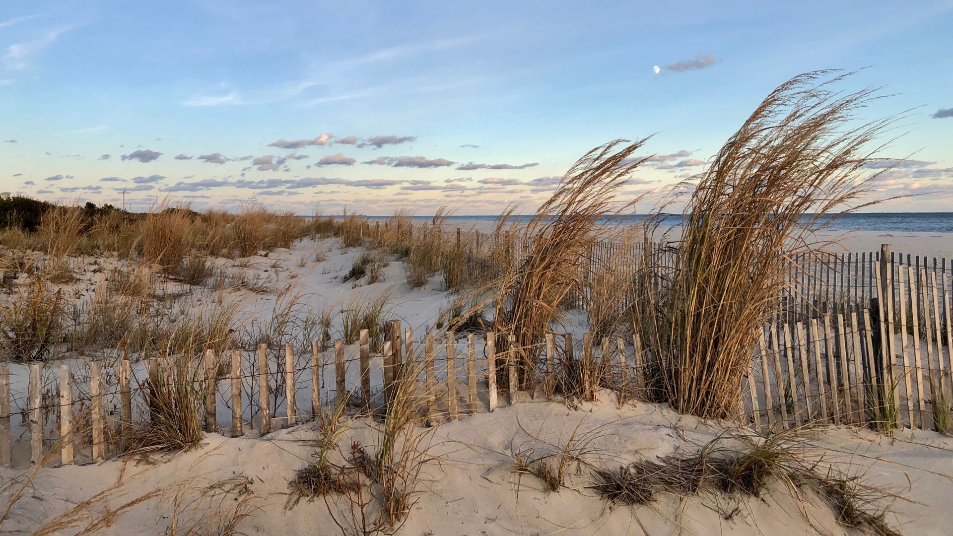 C.I. T.A.N.G.E. e Marevivo scrivono al Governo e stilano un vademecum per la difesa degli habitat naturali