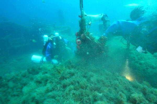 Divisione Subacquea Marevivo Rete Relitto Pavlos 16 Divisione Subacquea Marevivo Rete Relitto Pavlos 16