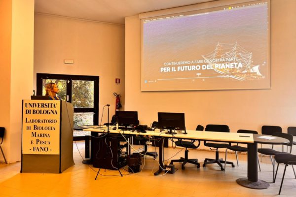 PHOTO 2024 07 27 15 44 05 PHOTO 2024 07 27 15 44 05