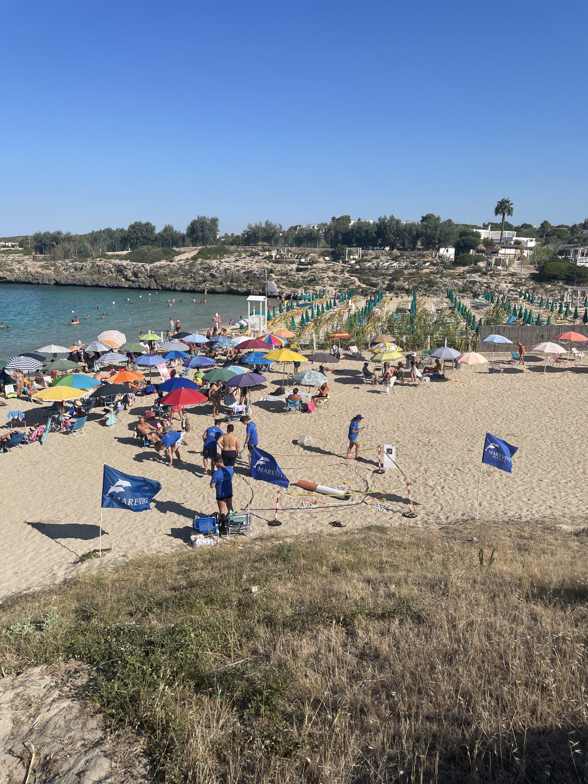 “Un mozzicone gettato per terra è un crimine per l’ambiente”