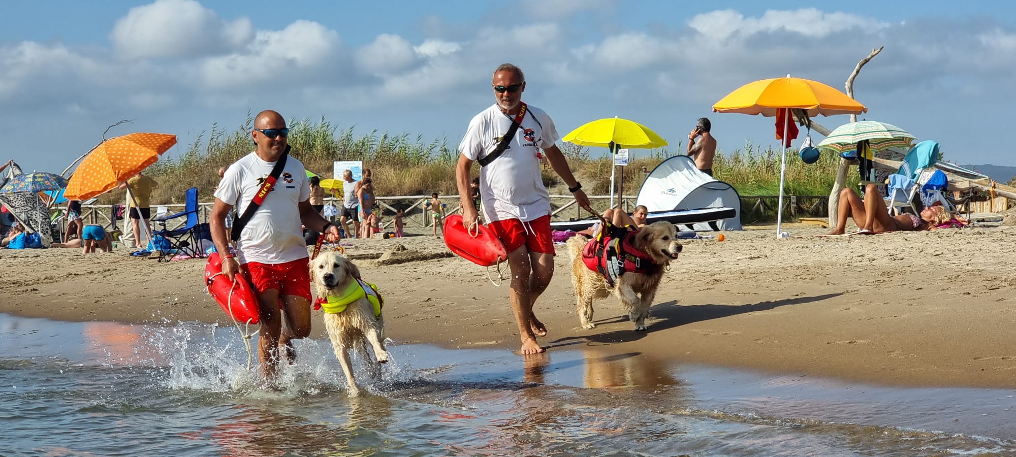 Marevivo e Scuola Italiana Cani Salvataggio insieme contro il littering