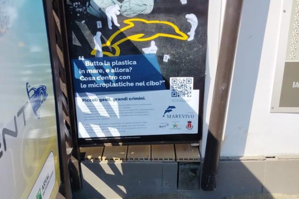 IMG 20240821 WA0008 IMG 20240821 WA0008