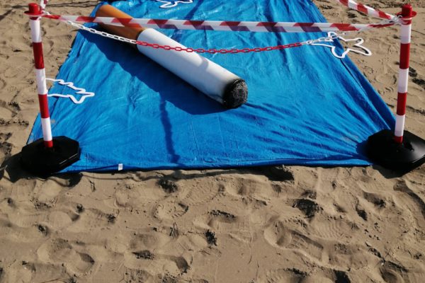 IMG 20240822 094646 IMG 20240822 094646