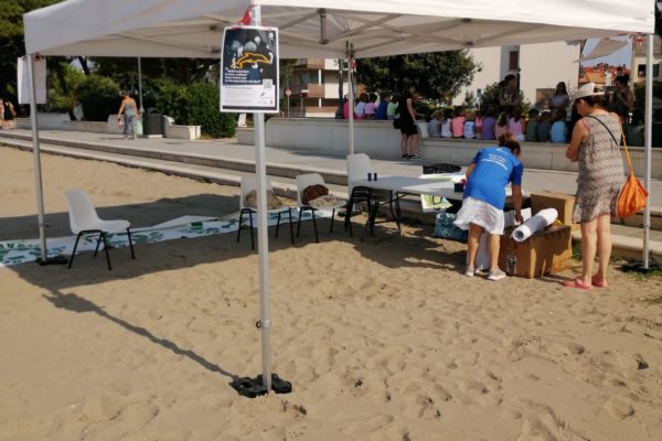 IMG 20240822 094655 IMG 20240822 094655