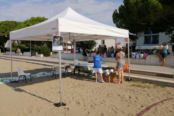 IMG 20240822 094700 IMG 20240822 094700