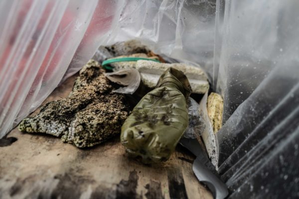 @credits Lorenzo Zelaschi (15) @credits Lorenzo Zelaschi (15)