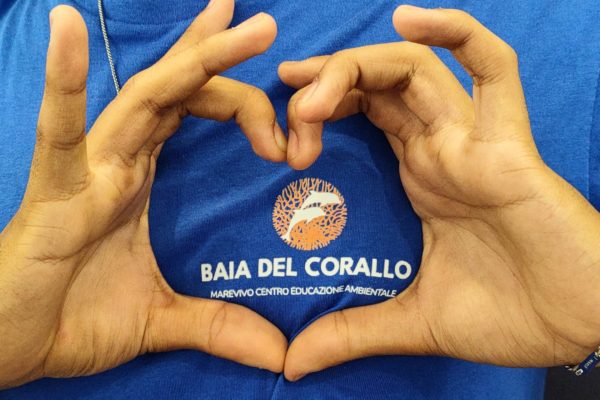 IMG20240621151330 IMG20240621151330