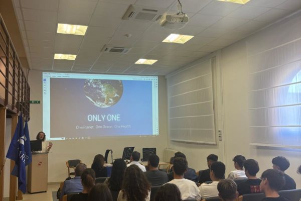 Only One A Civitavecchia (3) Only One A Civitavecchia (3)