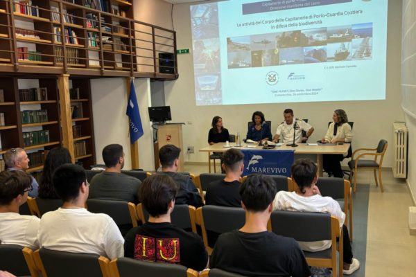 Only One A Civitavecchia (8) Only One A Civitavecchia (8)