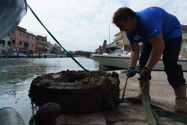 ZIGNAGO (11) ZIGNAGO (11)