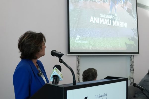 11 10 24 CONVEGNO UNIV. VANVITELLI DI NAPOLI (5) 11 10 24 CONVEGNO UNIV. VANVITELLI DI NAPOLI (5)