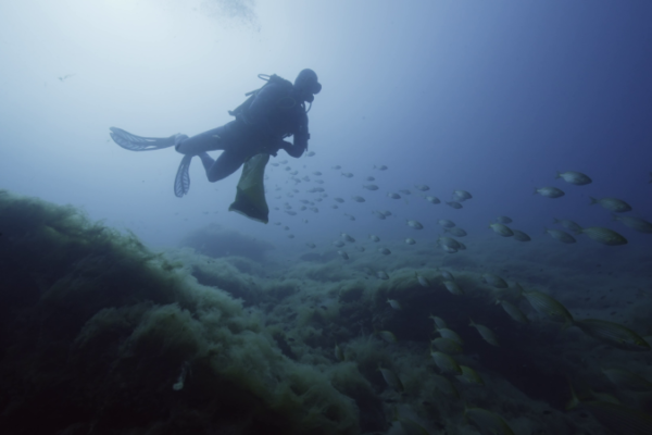 Subacquea 1 Subacquea 1