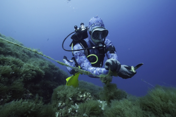 Subacquea 3 Subacquea 3