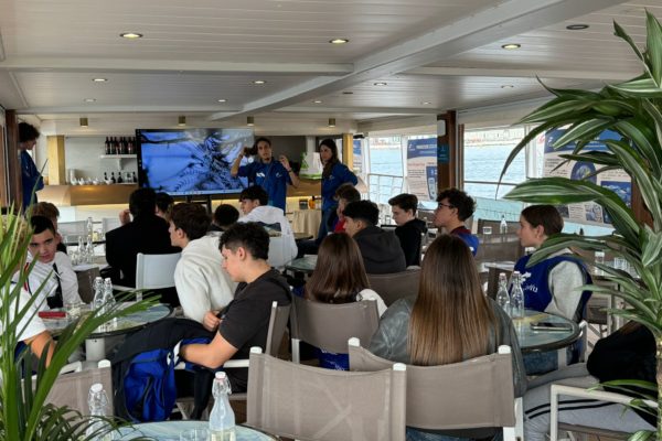 WhatsApp Image 2024 10 21 At 11.36.28 WhatsApp Image 2024 10 21 At 11.36.28