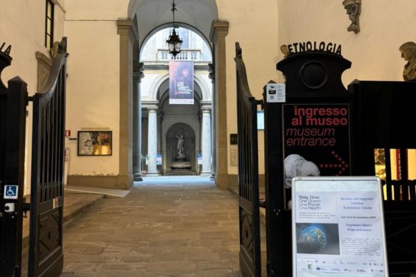 PHOTO 2024 11 18 20 48 57 1 PHOTO 2024 11 18 20 48 57 1