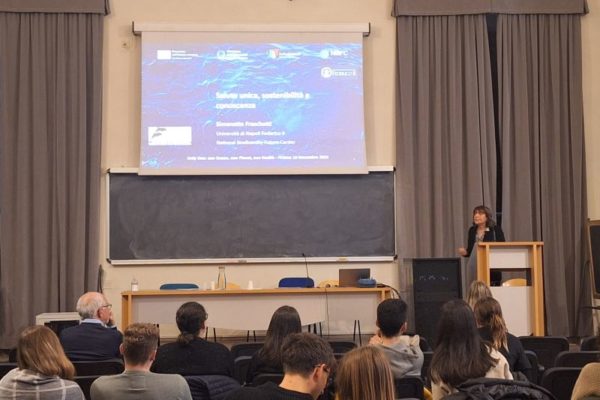 PHOTO 2024 11 18 20 49 20 PHOTO 2024 11 18 20 49 20