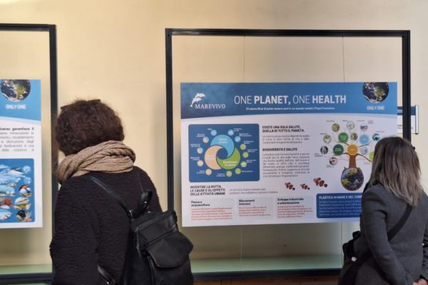 PHOTO 2024 11 18 20 49 54 PHOTO 2024 11 18 20 49 54