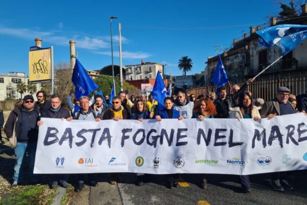 PHOTO 2024 12 15 15 48 52 2 PHOTO 2024 12 15 15 48 52 2