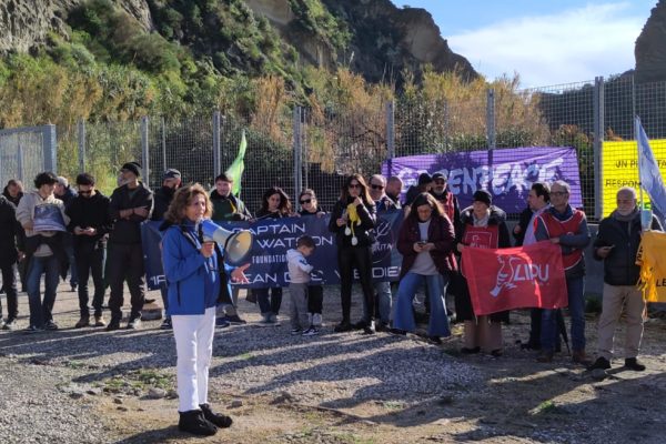 PHOTO 2024 12 15 16 38 24 PHOTO 2024 12 15 16 38 24