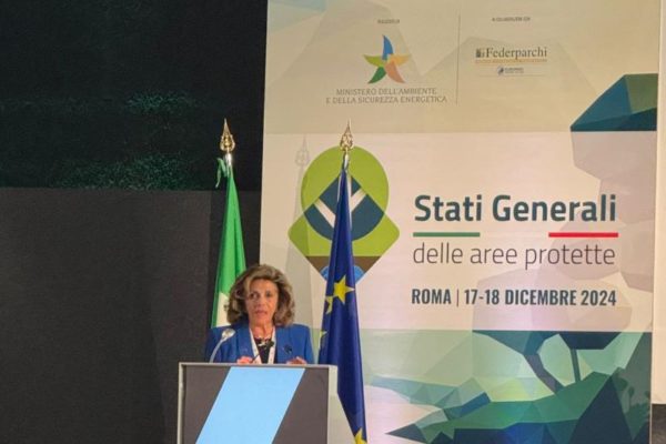 PHOTO 2024 12 19 12 44 07 PHOTO 2024 12 19 12 44 07