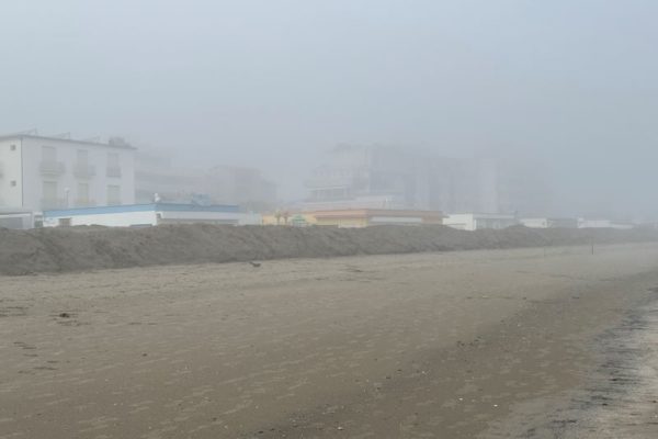 Image00012 Image00012