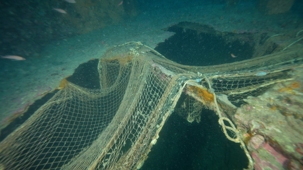 20250123 SUB0008.00 00 12 09.Immagine036