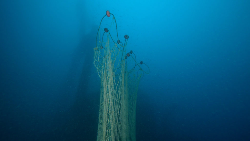 20250123 SUB0008.00 00 22 11.Immagine031