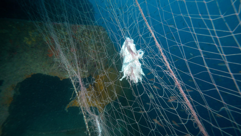 20250123 SUB0008.00 00 50 08.Immagine032