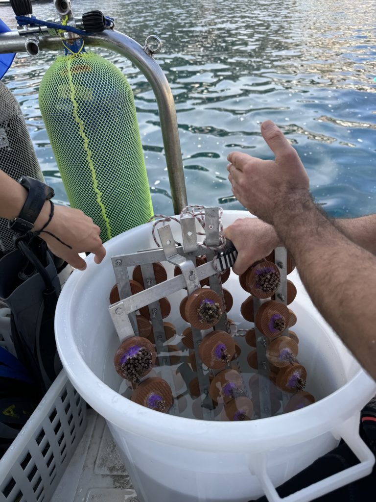 MCGUT Rest11.24 SURF©JSferlazzo21