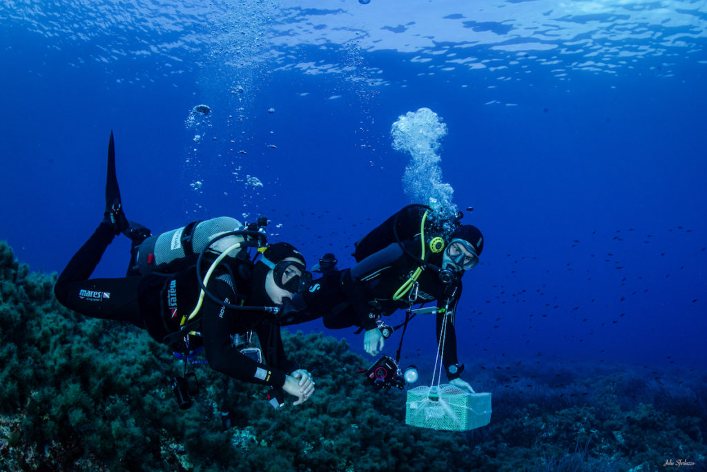 MCGUT Rest11.24 UW©JSferlazzo22