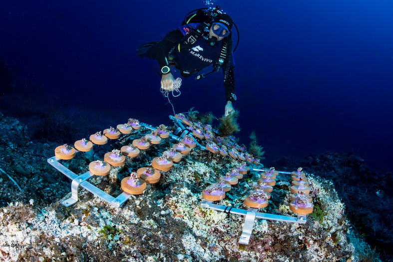 MCGUT Rest11.24 UW©JSferlazzo35