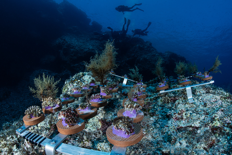 MCGUT_Rest11.24_UW©JSferlazzo41