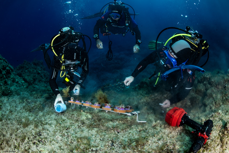 MCGUT Rest11.24 UW©JSferlazzo46