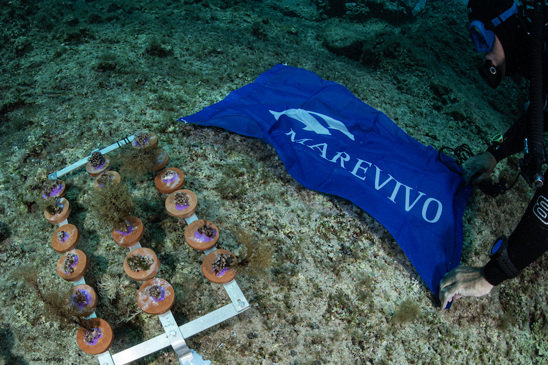 MCGUT_Rest11.24_UW©JSferlazzo47