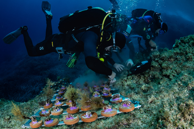 MCGUT_Rest11.24_UW©JSferlazzo50