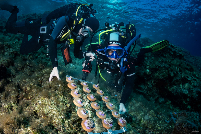 MCGUT Rest11.24 UW©JSferlazzo53