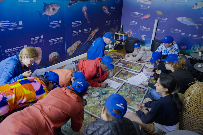 MedCoral Guardians 80