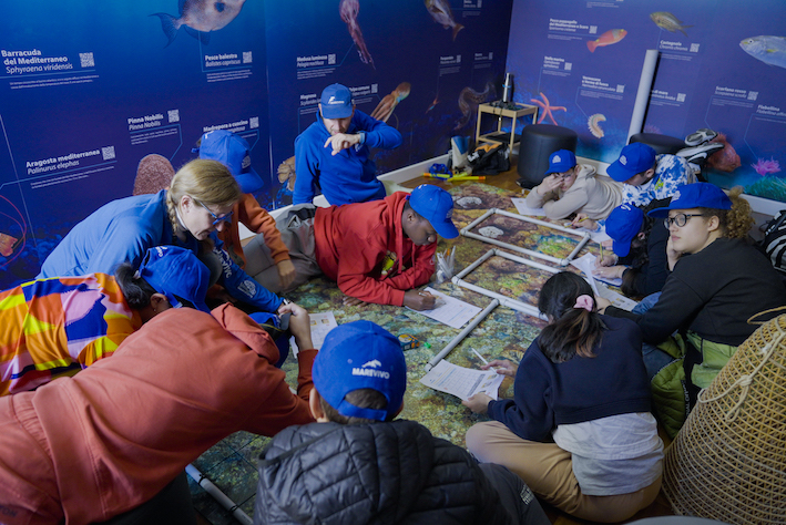 MedCoral Guardians 81