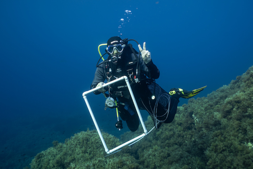 MedCoral Guardians Monitoraggio 108