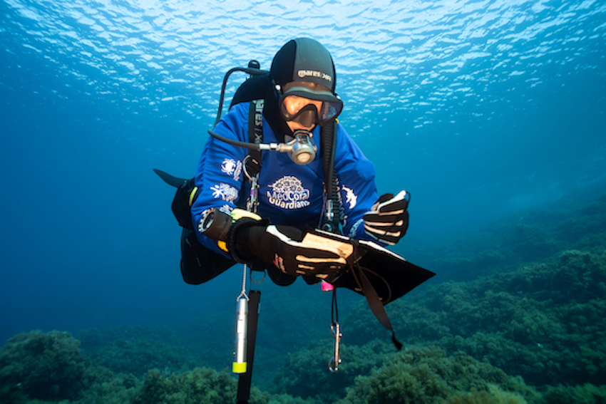 MedCoral Guardians Monitoraggio 79