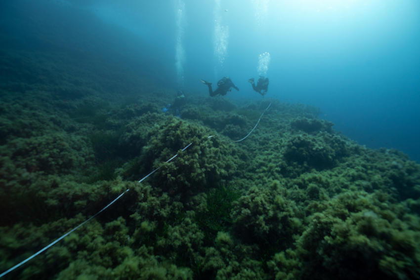 MedCoral_Guardians_monitoraggio 91