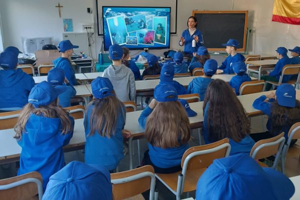 IMG 20250205 WA0002 IMG 20250205 WA0002