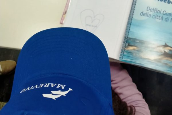 IMG 20250205 WA0003 IMG 20250205 WA0003