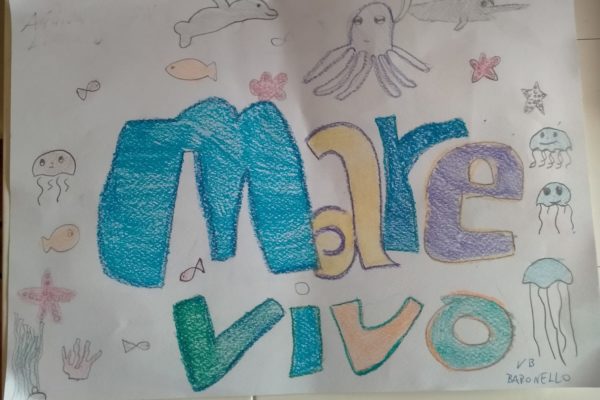 IMG 20250205 WA0004 IMG 20250205 WA0004